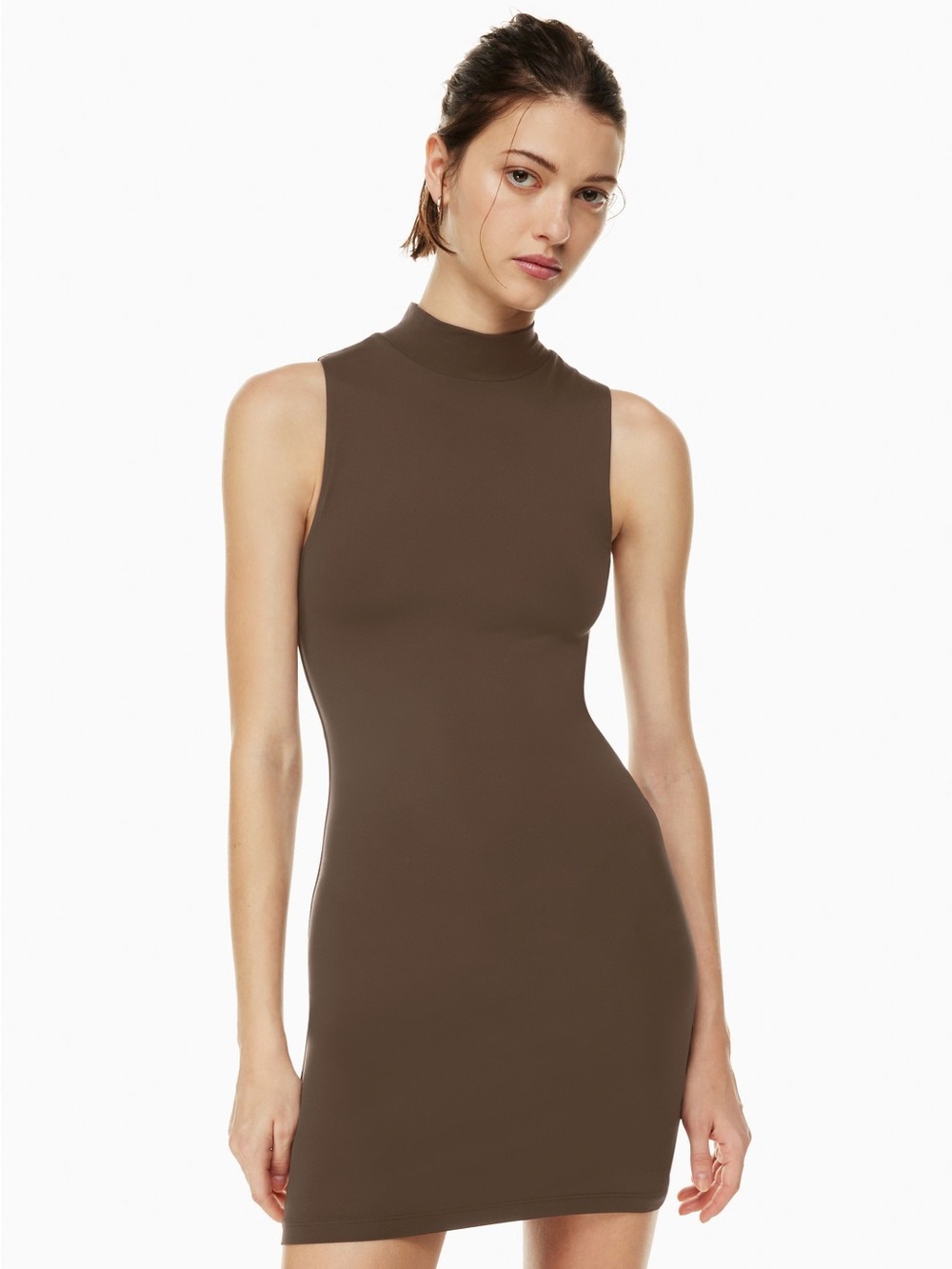 Aritzia Sleeveless Brown Mock Neck Mini Dress